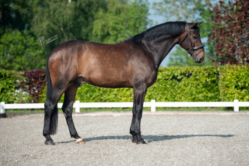 Nothing To Hide SOLD