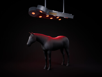 SOLAR TECH – Equine Solarium with 2 Panels